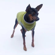Pet Clothing for Dogs and Cats