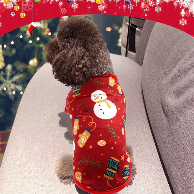 Teddy Bichon Hiromi Cat Pet Clothing Collection